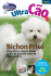 Bichon Frisé