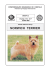 norwich terrier