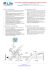 Como chegar no hotel Solar das Andorinhas – Imprimir Este Mapa.