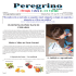 Peregrino