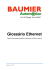 Glossário Ethernet Baumier v1.1.pages