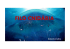 Filo Cnidária - biologiavirtual