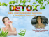 Detox - Luciana Marques