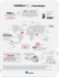 Formula 1 infographic_tradução_ok