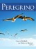 Revista Peregrino nº 19 - Irmãs Scalabrinianas testemunham