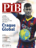 Number 23 - Revista PIB