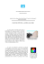 Corantes Sinteticos a Quimica das Cores