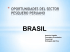 Oportunidades del Sector Pesquero Peruano en Brasil (2010)