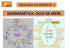 BIOENERGÉTICA: CICLO DE KREBS