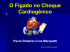 O fígado no choque cardiogêncio