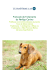 Protocolo de Tratamento do Pênfigo Canino