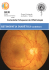 retinopatia diabética – guidelines