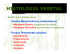 HISTOLOGIA VEGETAL