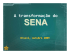 Sena Entidade de Projetos