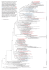 Fig. S1. Maximum likelihood tree of the green algae inferred from