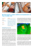 Garimpo ilegal e outros conflitos socioambientais na Terra do Meio