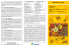 Edital 10 – 2015 Abelhas Brasileiras Melíponas – Abelhas sem ferrão