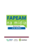 16.06 - Fapeam