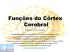 Funções do córtex cerebral