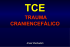 TCE