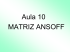 Aula 10 – Matriz Ansoff