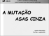 a mutação asas cinza