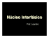 Núcleo Interfásico