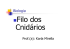 Cnidários- 3º ano [Modo de Compatibilidade]