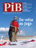 Edição 17 - Revista PIB