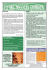 Revista Brasileira de Picaretologia Química