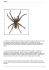 A aranha é um animal articulado da classe dos