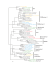 Alkaline ceramidase Hypothetical group 2