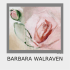 BARBARA WALRAVEN