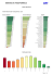 QlikView Printing - Portal de Combate à Corrupção