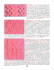 25 – Múltiplo de 15 + 1 p. – 1a carr.: *1 t., 5 m., 2 p. j. em m., laç., 2 m