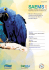 C&oacute;pia de REVISTA_PEDAGOGICA_PORTUGUES.indd