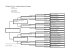 Pedigree, Rectangle Format, 4G Landscape, Logo