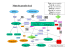 Mapa de formação e transformação do Qi