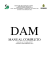 DAM - MANUAL COMPLETO