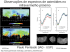 Observações de espectros de asteróides no