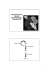 REPLICAÇÃO DO DNA EM PROCARIOTOS E EUCARIOTOS