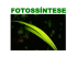 FOTOSSÍNTESE