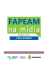 31.03 - Fapeam