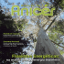 Fieg orienta sobre taxa ambiental