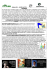 Visualizar - Torneamentos Mariana