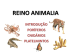 REINO ANIMALIA