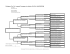 Pedigree, Rectangle Format, 4G Landscape, Logo