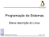 Programação Sistemas Apresentação do Linux