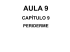 Aula 9 - Cap. 9