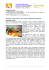 Metabolic Typing Beschreibung Methode